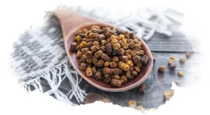 Včelí pyl plástový - PERGA -10g